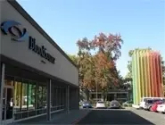 Early Birds Needed on Saturdays or Sundays at Midtown-Sacramento
