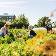 Volunteers at a nonprofit environmental organization work together outside.