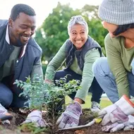 volunteers participate in a tree planting activity