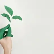 Person sosteniendo con una mano una hoja de árbol