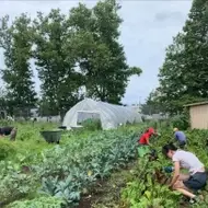 Community service volunteers on an urban farm in Brooklyn, NY.