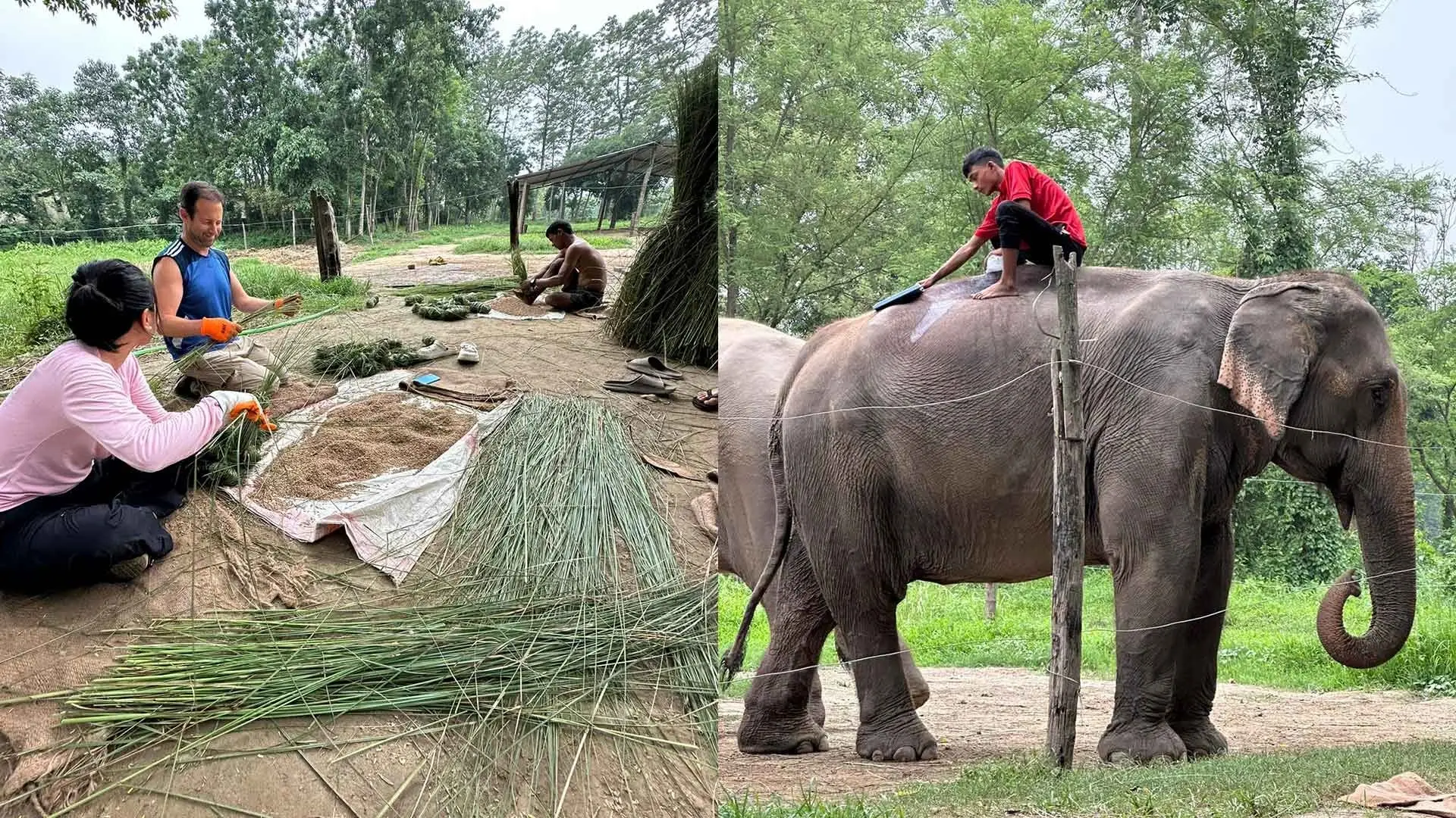 Volunteering with Chitwan Jungle Safari Tour Program in Nepal