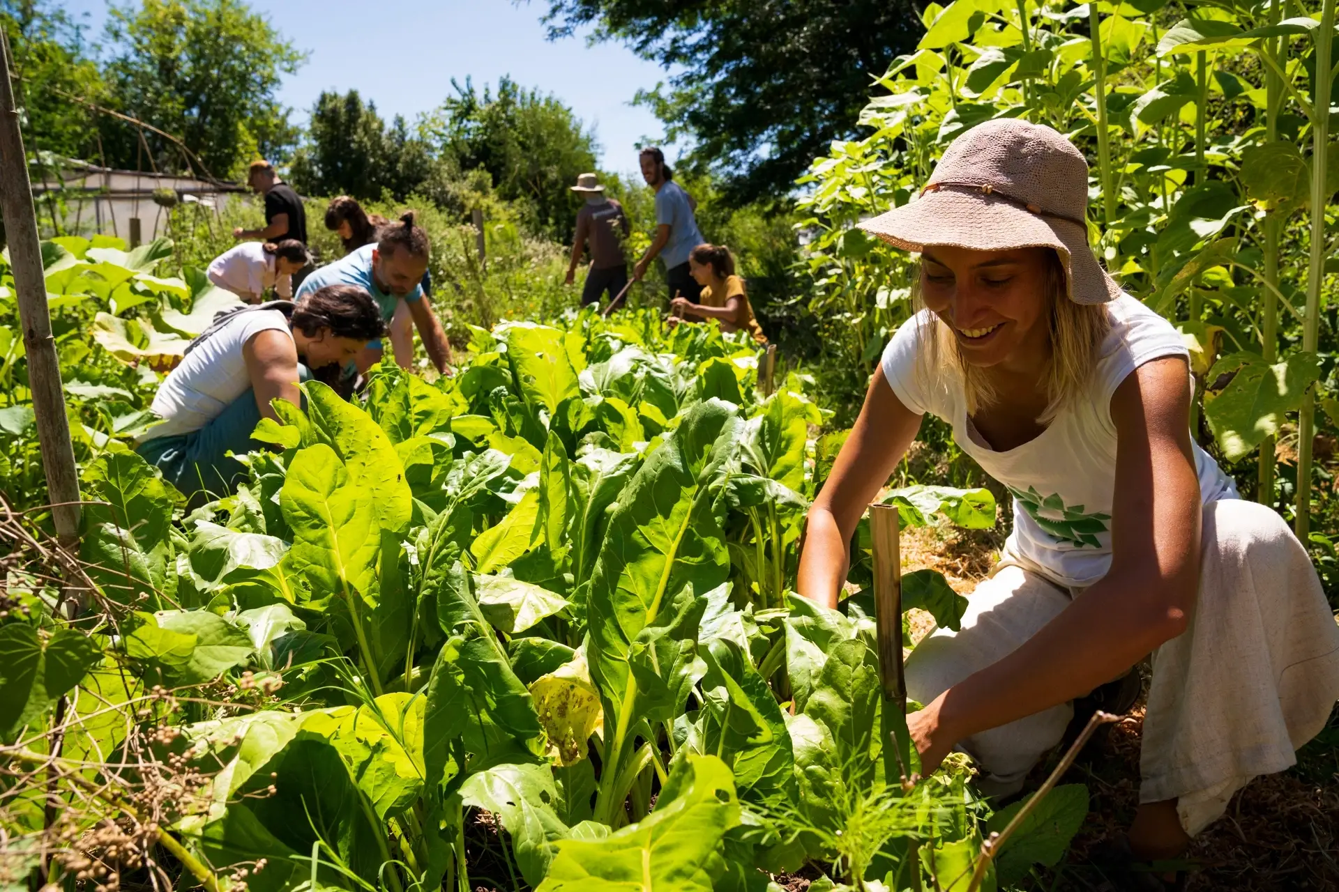 Voluntariado ambiental en nuestro Centro de Aprendizaje | Otoño - Invierno