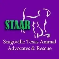 Pet Adoption Event Volunteers Needed!