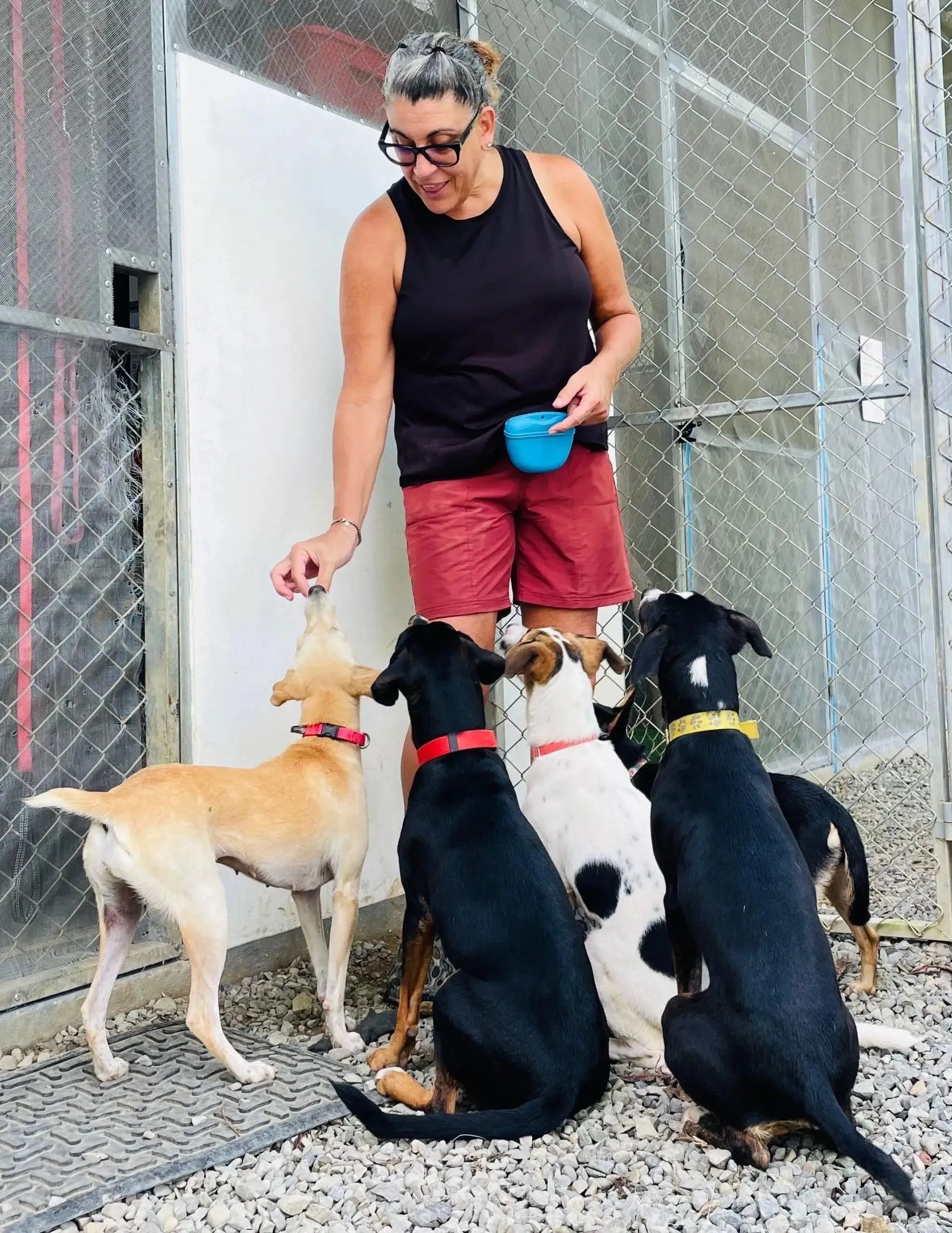 Volunteer in Residence Program, El Refugio Hogar Animal Costa Ballena