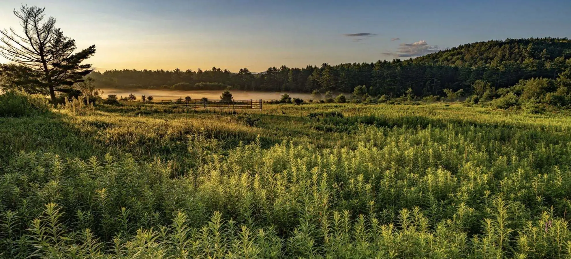 Adirondack Park, NY - Volunteer Vacation