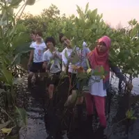 Environment Project