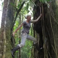 Jungle explorations