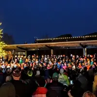 Tree Lighting