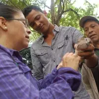 A biologist shows a brown bird to a couple of technicians.