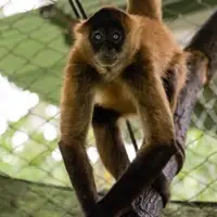 ANIMAL RESCUE CENTER