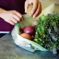 Maslow Project Fresh Vegetables