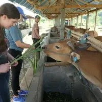 Our volunteer in Action