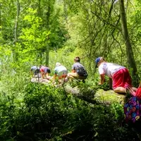 kids exploring outdoors