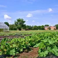 Seminary Hill Farm