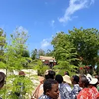 Moringa Oleifera farm