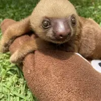 ANIMAL RESCUE CENTER PROJECT