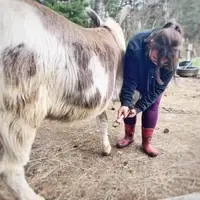 Sage & Donkey