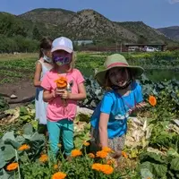 Kids camp collecting calendula