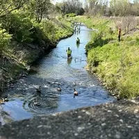 volunteers in stream