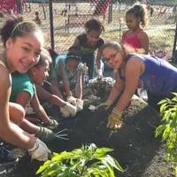 Students working in the schoolyard garden