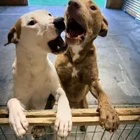 We love playtime!