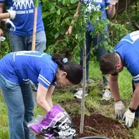 Volunteers planting trees