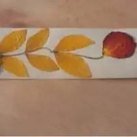 ARTICULOS LA SEMILLA; elaborados con residuo orgánico vegetal sólido