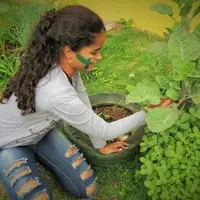 A veggie garden at the school