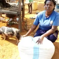 Provision of income generating projects to boost family income