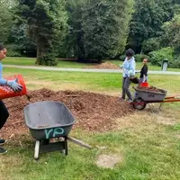 Youth are scooping mulch into wheelbarrows at a Seattle park.