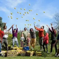 Espacio de frutales