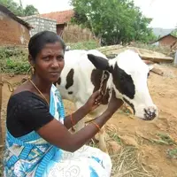 Micro-credit and Micro-finance project