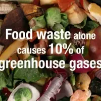 Food waste