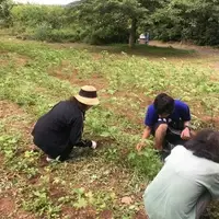 Agriculture Project