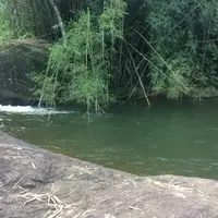 Bamboo Waterfall