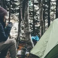 Hercules Glades Wilderness