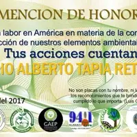 PROYECTO INTERNACIONAL