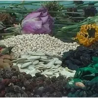 Usando el residuo orgánico vegetal sólido