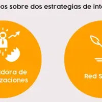 Nuestras estratégias