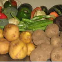 AGRICULTURA URBANA: Alimento barato, limpio y autoproducido