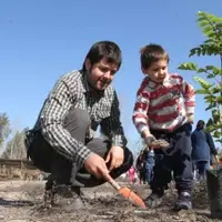 Padre e hijo plantando un árbol