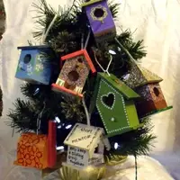 nest