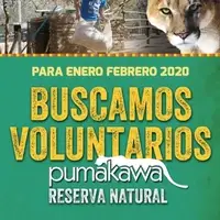 Buscamos Voluntarios