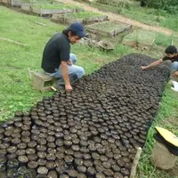 Volunteer and locals working on the three nursery