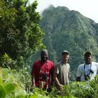 Field work in Dominica