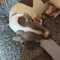Such a sweet baby!