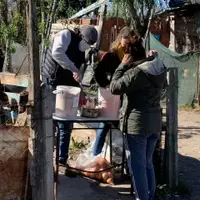 Nuestros voluntarios en acción