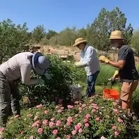 Volunteer at the Santa Fe Botanical Garden