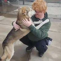 A man is kneeling as a dog stands on its back legs and licks the man's face